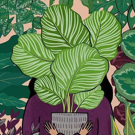 5 Plants to Help You Master Self-Care