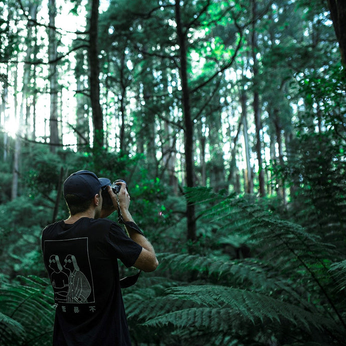 Meet Pete, the plant who can use a camera