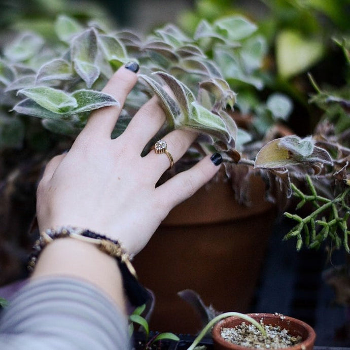 NHS Prescribe Plants to Treat Depression