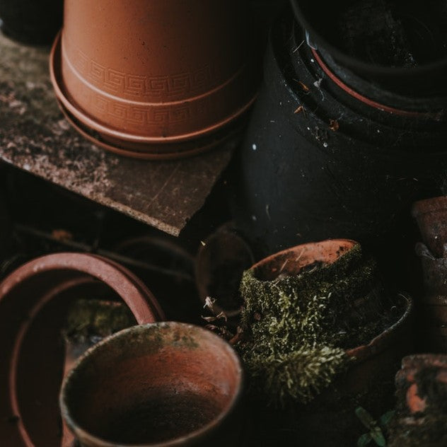 Pioneering Women Gardeners