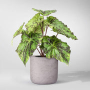 Begonia Artificial Plant