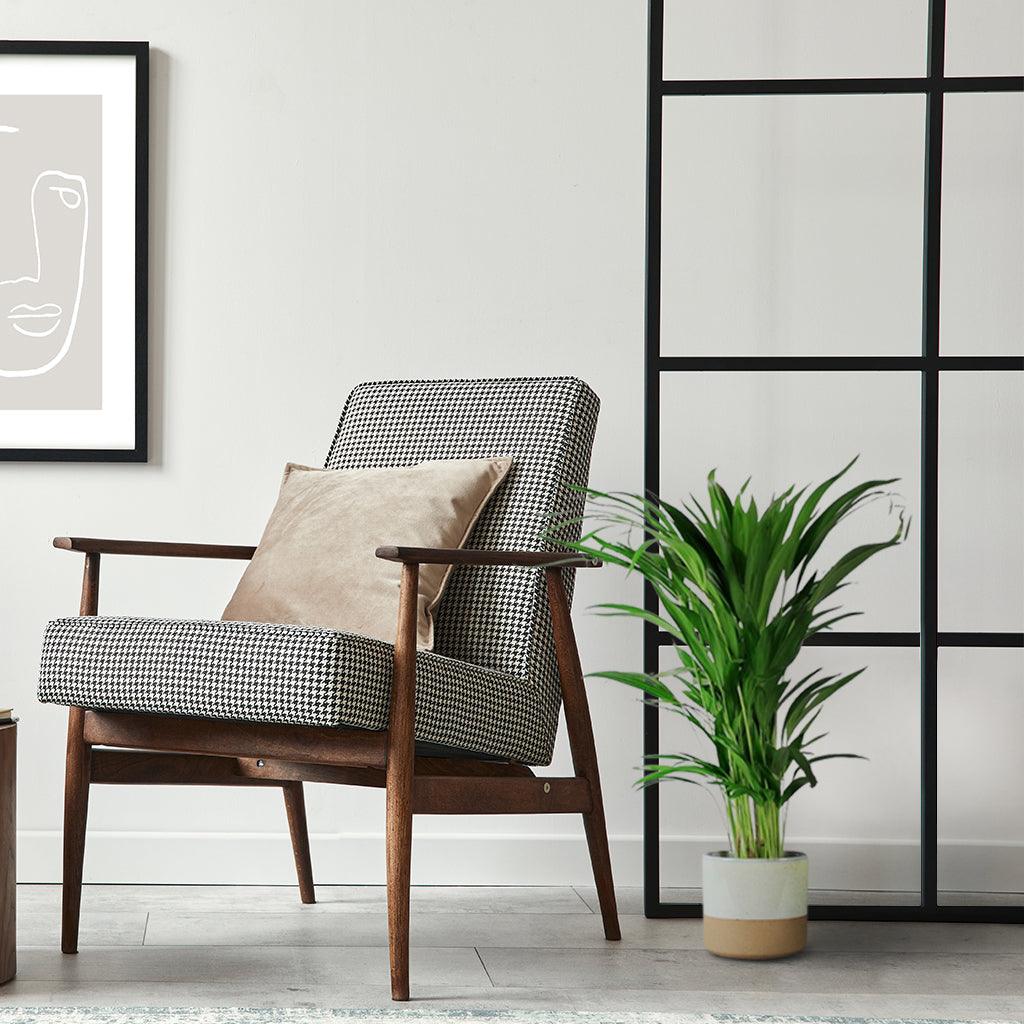 areca palm ikea uk Areca Palm